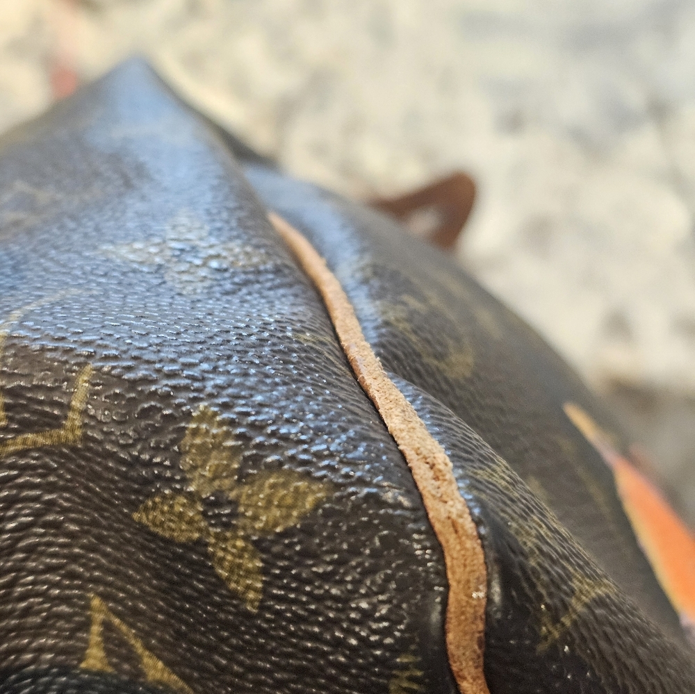 LV speedy 30 with roses - Picture 9 of 10